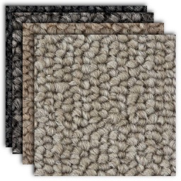 Belgotex Influence Carpet