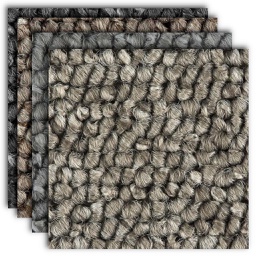 Belgotex Inclusive Carpet