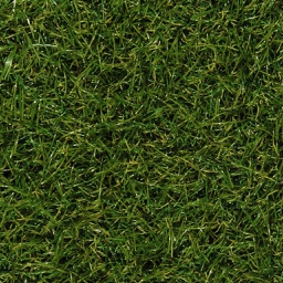 [GRASS-L-APO18] Lockweave Grasslands Apollo 18