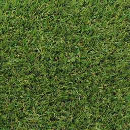 [GRASS-L-ADM025] Lockweave Grasslands Admire 25